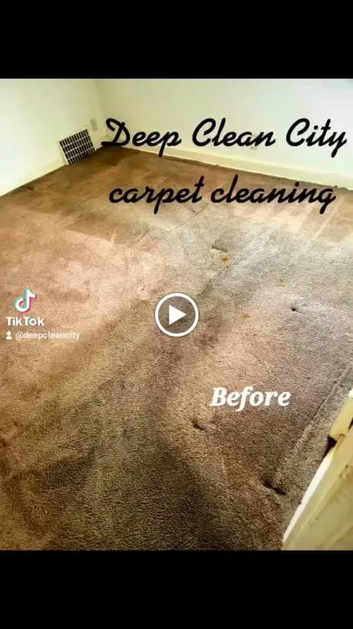 Deep Clean City Best Carpet Cleaning Company - Photo 2