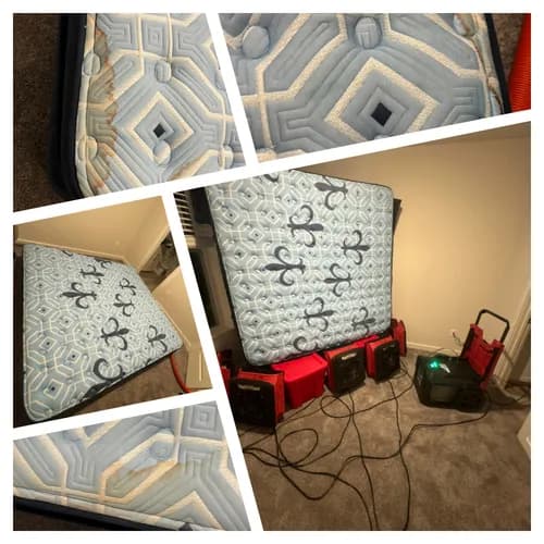 Deep Steam - Carpet Cleaning ,Floor Care, Rug Cleaning Shop & Restoration ( Water, Mold, Fire)