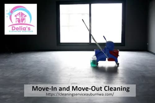 Delias Cleaning Services LLC