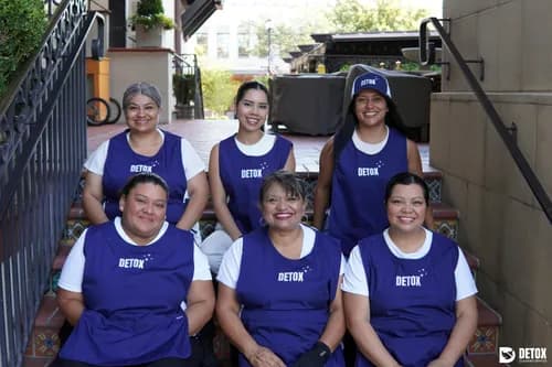 Detox Cleaning Service