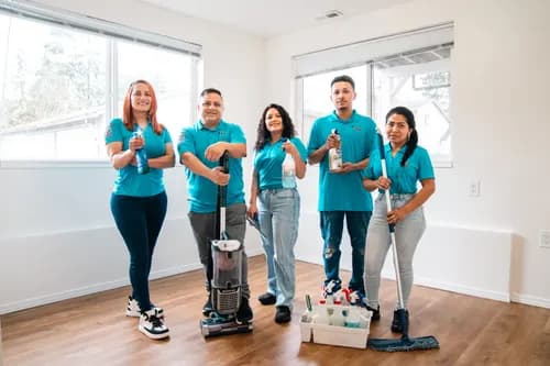 Diamond Cleaners USA