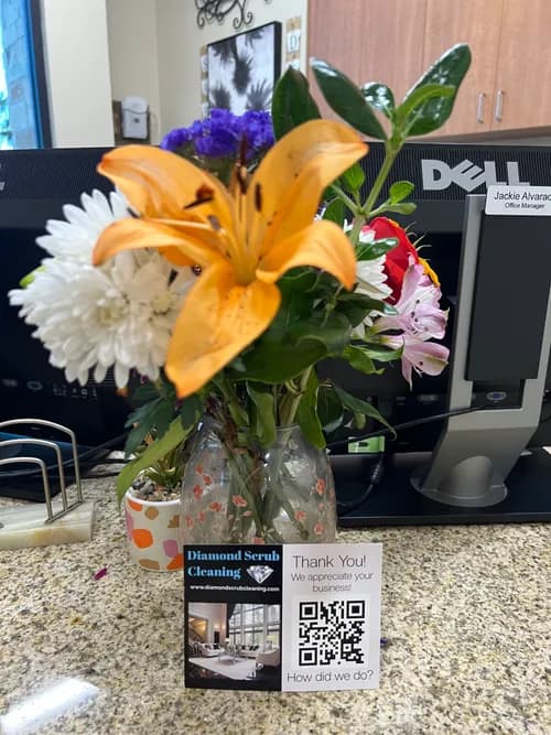 Diamond Scrub Cleaning - Photo 5