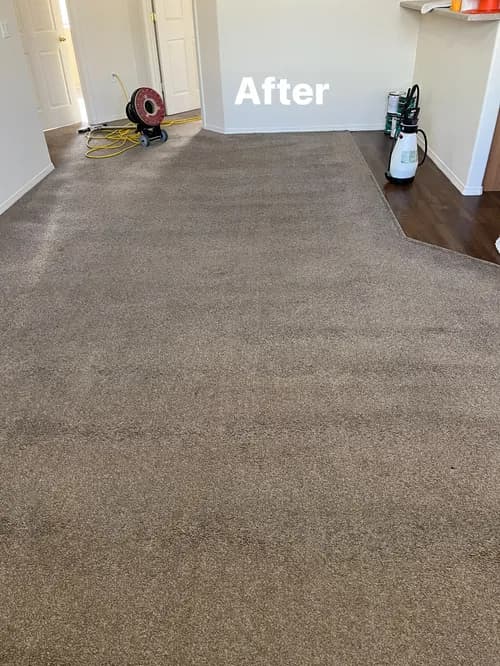 Dirt Doctor Carpet Cleaning - Photo 2
