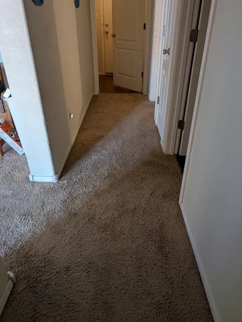 Dirt Doctor Carpet Cleaning - Photo 5