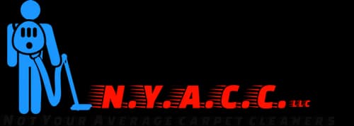 Dirt Doctor Carpet Cleaning - Photo 4