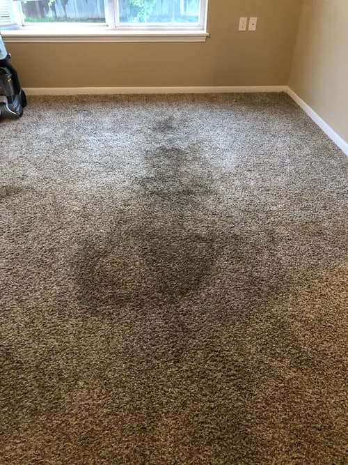 Dirty Deeds Cleaning Pros LLC - Photo 2