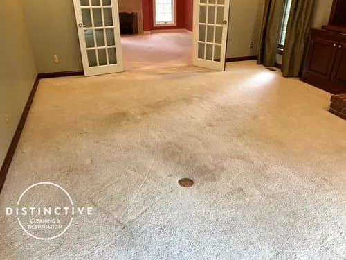 Distinctive Cleaning & Restoration - Photo 1