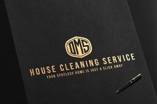 DMS HOUSE CLEANING SERVICES