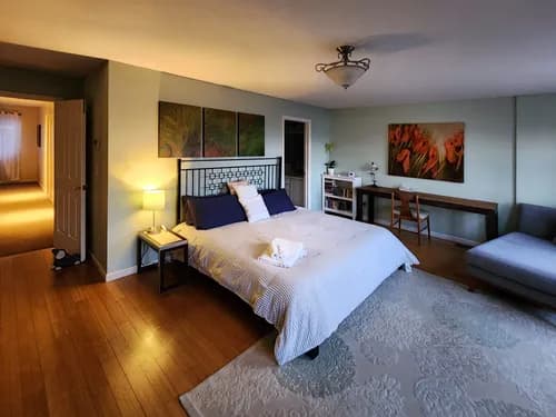 Do It All Cleaning - Photo 5