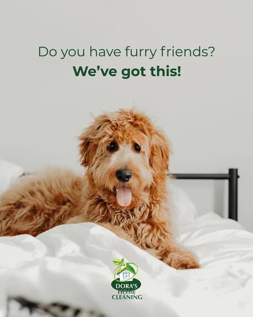 Dora's Home Cleaning LLC