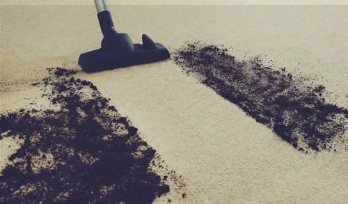 Dry Green Cleaning LLC - Photo 3