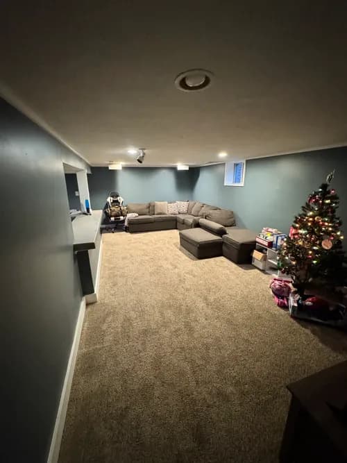 Dust Buddies - Photo 3