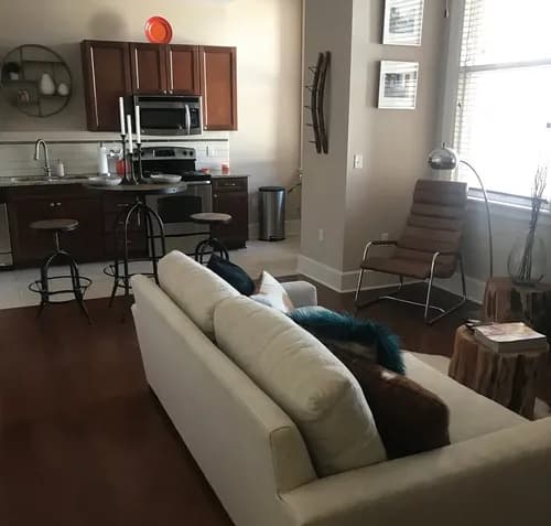 Dust Bunny General Cleaning