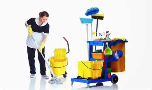 Dust-N-Shine Cleaning Service | Residential, Apartment & Bathroom Cleaning - Photo 2