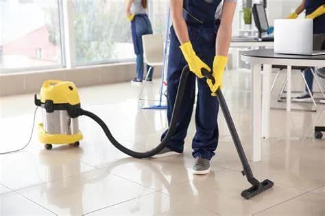 DustBusters Cleaning Service