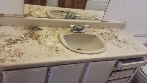 Dustbusters Maid Service - Photo 2