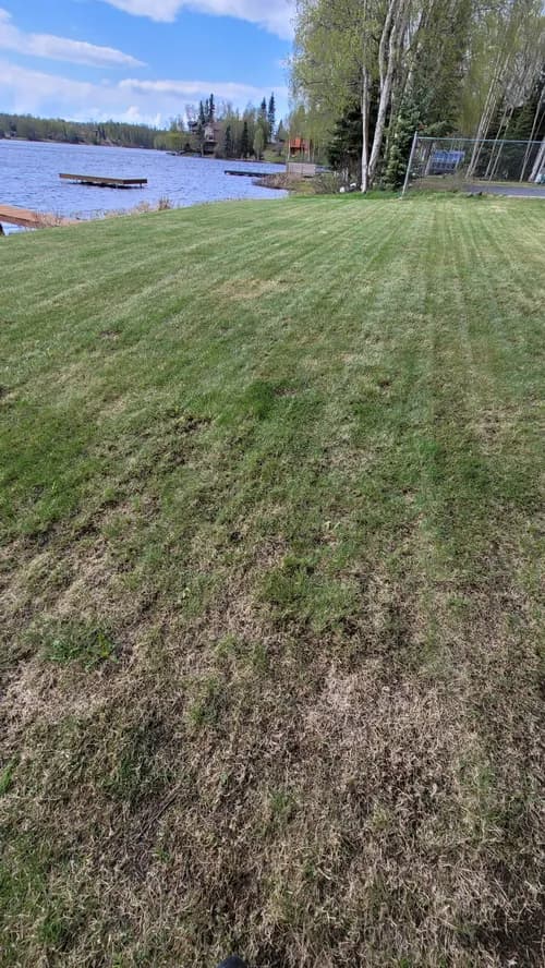 E & S Diversified Services Inc