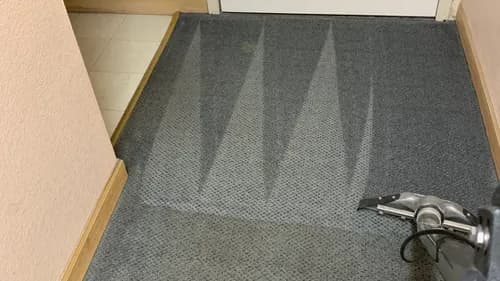EA carpet and home cleaning - Photo 1