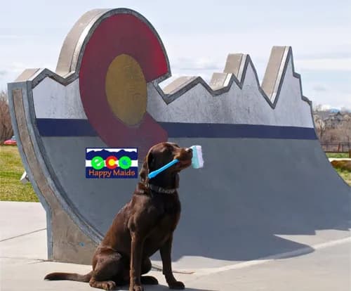 Earth Love Cleaning - Photo 1