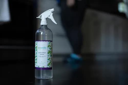 ecomaids of Cincinnati-Fort Mitchell-Florence-Lawrenceburg - Photo 4