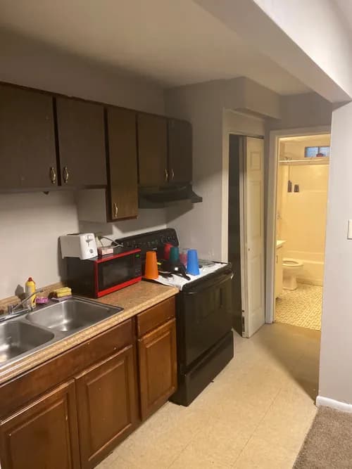 EcoPure Cleaning Services - Photo 5