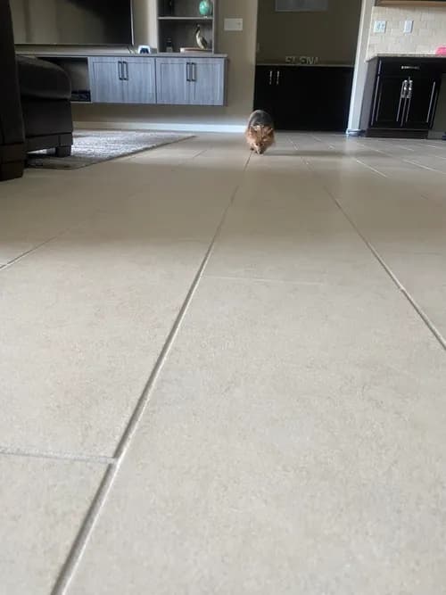 Effect - Property Cleaning Services