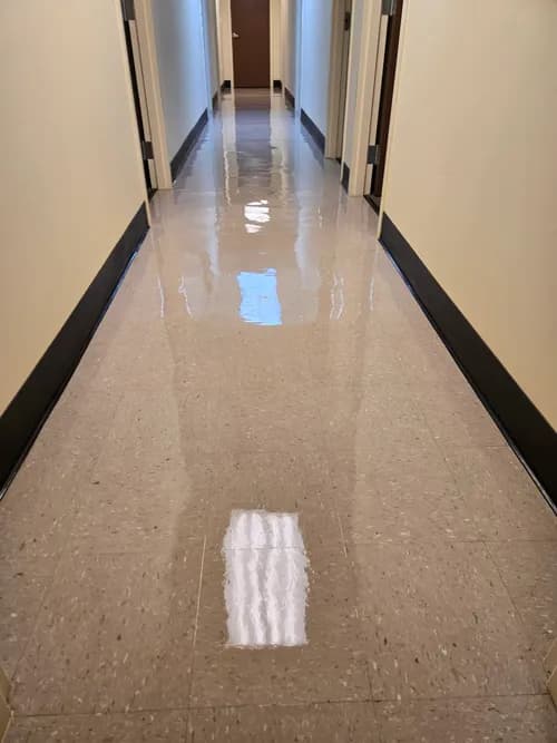 EJS Cleanings - Photo 3