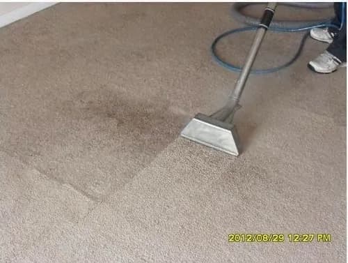 Elements Carpet Cleaning and Restoration - Photo 5