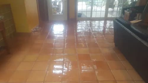 Elements Carpet Cleaning and Restoration - Photo 2