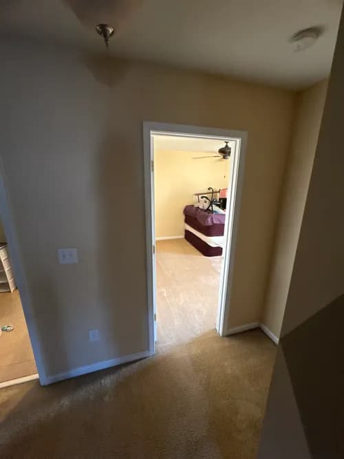 Elite Clean Pressure Washing - Carpet Cleaning - Winston Salem - Photo 2