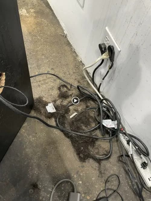 Elzee’s Cleaning Service - Photo 3