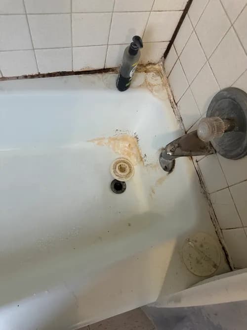 Em's Cleaning LLC - Photo 2