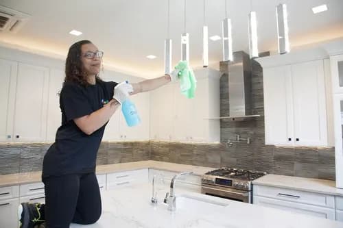 eMaids of Jersey City & Hoboken - Photo 1