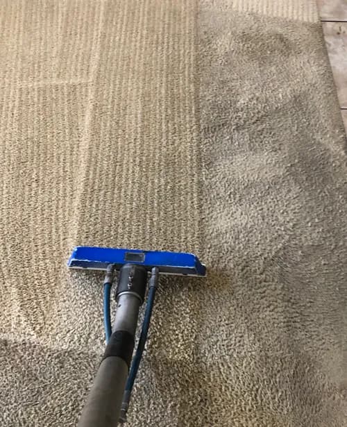 Emerald Cleaning Services L.L.C - Photo 1