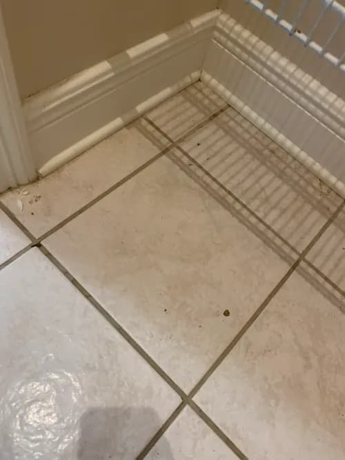 Empire Services - Photo 2