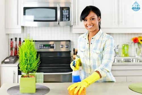 Esh Cleaning Services