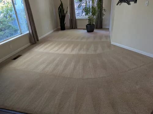 Esmeraldas cleaning services - Photo 3