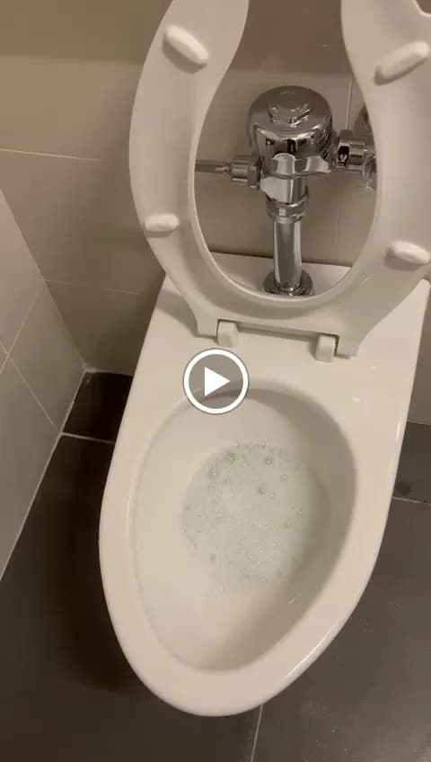 Essentially Cleaning Services Inc. - Photo 3