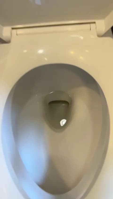 Eva's Cleaning Fairies - Photo 2