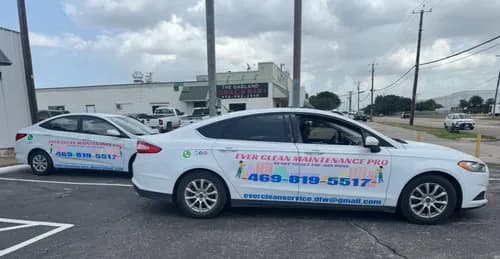 EVER CLEAN MAINTENANCE PRO