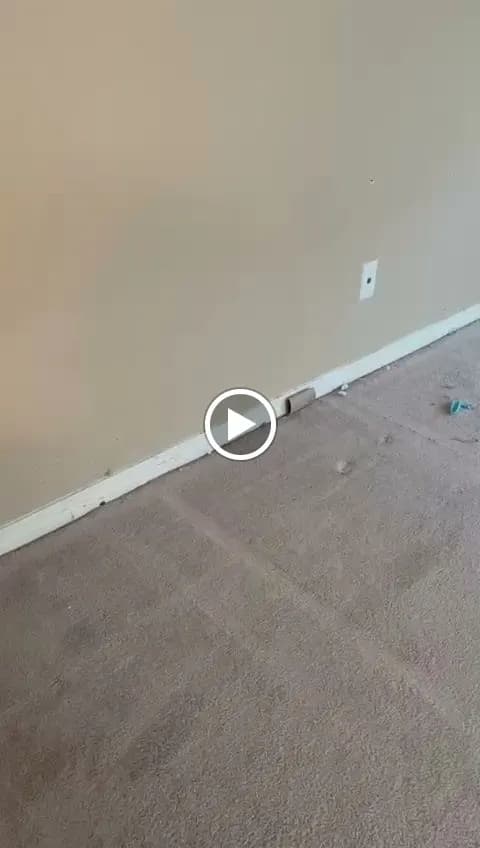 EVER CLEAN MAINTENANCE PRO - Photo 3