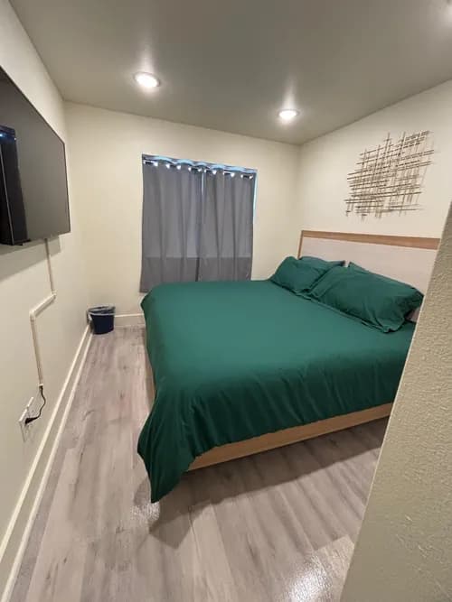 EVER CLEAN MAINTENANCE PRO - Photo 2