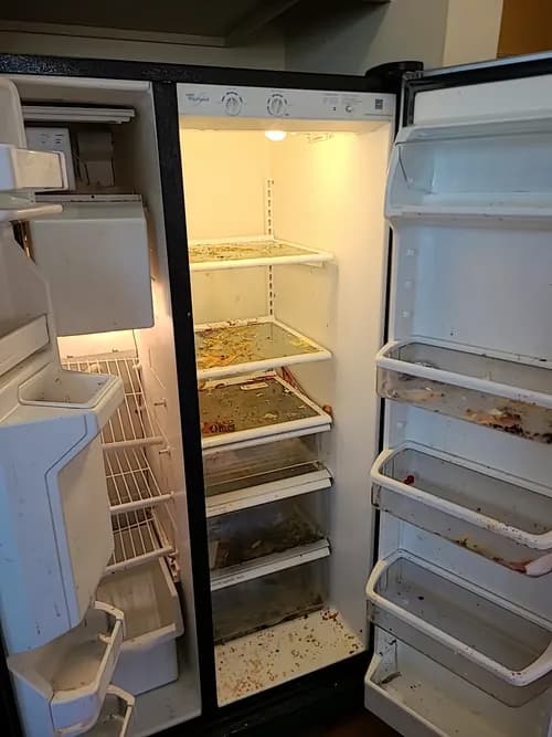 Evergreen Cleaning Services, LLC - Photo 3