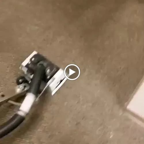 Evolution Deep Clean - Photo 2