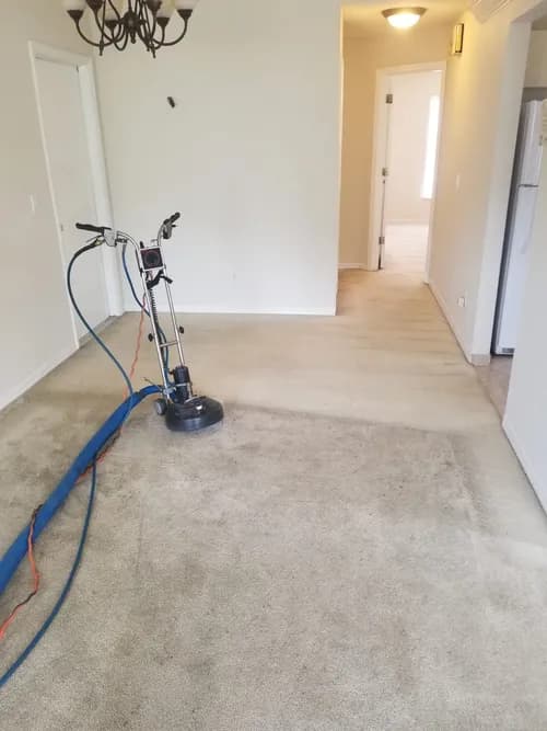 Evolution Deep Clean - Photo 3