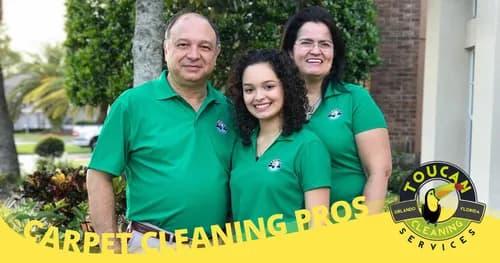 Evolution Deep Clean - Photo 4