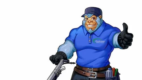 Evolution Deep Clean