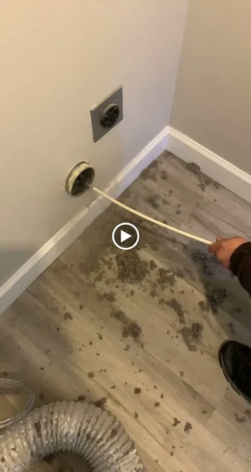 Executive Cleaning & Carpet Cleaning Services - Photo 2