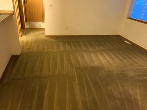 Expert Janitorial Services