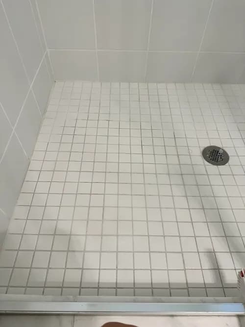 Extreme Maids - Photo 2